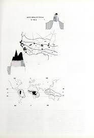 Image result for Hirtella zanzibarica