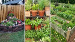 Awesome small backyard with pool. 10 Backyard Vegetable Garden Ideas Youtube