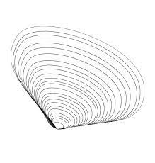 My clan chat text is currently in red. Beautiful Clam Seashell Coloring Page Download Print Online Coloring Pages For Free Col Online Coloring Pages Coloring Pages Coloring Pages Inspirational