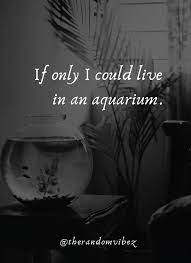 Top 40 Aquarium Quotes And Captions For Your Fish Love