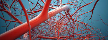 The body naturally absorbs a blood clot over the course of several weeks to months and the symptoms which accompanied the blood clot gradually improve and often eventually disappear. Side Effects Of Lovenox Enoxaparin Sodium Injection Warnings Uses