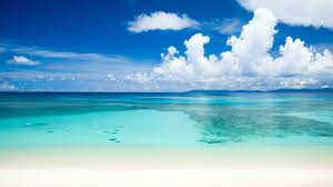 We did not find results for: Tropical Beach 4k Ultra Hd Beach 3840x2160 Wallpaper Teahub Io