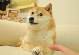 We did not find results for: Dogecoin Na Koszulkach Klubu Premier League Sponsor Rozda 10 Mln Doge