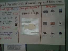 Anchor Chart Describing The Physical Characteristics Of Animals Meeting Their Basic Needs Teaching Science Science Classroom Life Science