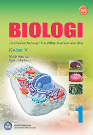 Materi biologi kelas 10 semester 1. Biologi Sma Kelas X Ktsp 2006 Buku Sekolah Elektronik Bse