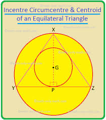 The angle bisectors in a triangle are always concurrent and the point of intersection is known as the incenter of the triangle. Circumcentre And Incentre Of A Triangle Radius Of Circumcircle