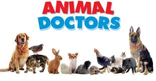 The city of apopka invites you and our four legged friends to join us for a howling good time at doctors' dog park located off of highland avenue behind edward's field. Veterinary Animal Doctor List Dhaka
