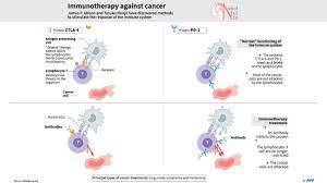 She compares and contrasts innate and adaptive immunity, and lays out the. Immune System In Malay Severity Of Covid 19 May Depend On Your Individual Genetic It Is Comprised Of Many Specialized Cell Types All Which Work She Compares And Contrasts Innate