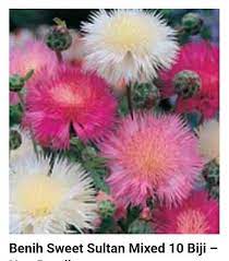 Bagi pembeli bibit dengan jumlah banyak (diatas 1000 pohon) kami berikan harga lebih murah dan konsultasi/pelatihan gratis di perkebunan kami di bogor. Jual Bibit Bunga Murah On Twitter Jhal Benih Bunga Murah Sweet Sultan Mixed Harga 15rb Pack Order Wa Ke 082129473355 Cek Koleksi Lain Di Instagram Tempatjualbibit Presiden Garden Pusatbibit Jualbibit Tanambenih Padi
