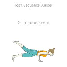 One Legged Four Limbed Staff Pose Yoga Eka Pada Chaturanga Dandasana Yoga Sequences Benefits Variations And Sanskrit Pronunciation Tummee Com In 2020 Arm Balance Yoga Poses Core Yoga Poses Yoga For Balance
