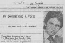 Un comentario a "Voces" [artículo] Abel Sandoval Ormeño.