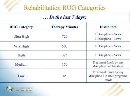 pps 101 rehabs point of view shelly a mesure geriatrics