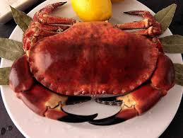 Bien évidement, il nous suffit de sortir de la maison et plouf on y est mais pas facile chez les parigots que nous sommes 10. Tourteaux Acheter Des Fruits De Mer A Domicile