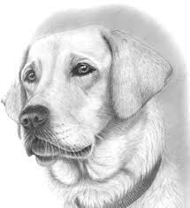 Pin On Realistic Drawing