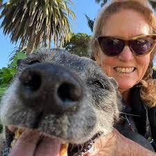 Any financial advisor recommendations?