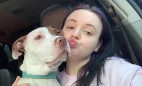 Tri-City's UNDERCOVER ANGELS Animal Network