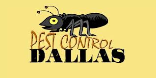 We want to earn your business every visit. The 8 Best Options For Pest Control In Dallas 2021