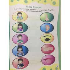 Diri sendiri 3 minggu sub tema. Promo Buku Anak Tk A B Shopee Indonesia