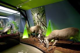 Featuring natural history and science exhibits, as well as an aquarium and a reptile zoo, haus der natur ranks as the largest museum in salzburg. Haus Der Natur In Goldisthal Ausflugsziele Goldisthal