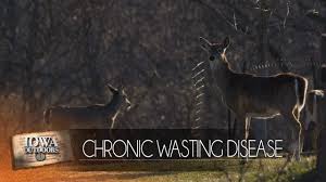 Deer Disease Information Iowa Dnr