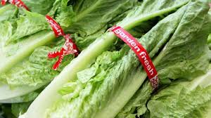 Khasiat dan kebaikkan daun salad/ 'lettuce': Ini 6 Manfaat Daun Selada Untuk Kesehatan Biasanya Dibikin Lalapan Serambi Indonesia