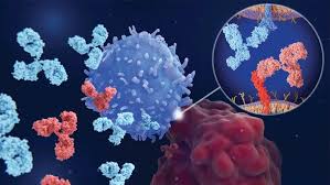 Image result for Immune Checkpoint Inhibitor