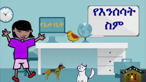 What were arabic camel nomads called? Amharic For Children á‹¨áŠ¥áŠ•áˆ°áˆ³á‰µ áˆµáˆ Animal Names Youtube