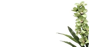 Buy from five bulbs to thousands. Buy Wholesale Artificial Flowers Online Flower Systems Nz