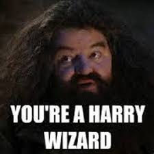 Louis isn't ruling it out. all the more reason that the line you're a wizard, harry makes me love the. Stream You Re A Wizard Harry Part 2 Free Download Xd By Djtangler Listen Online For Free On Soundcloud