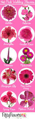 Maybe you would like to learn more about one of these? Make A Statement With Bold Hot Pink Wedding Flowers Fiftyflowers Com Pink Wedding Flowers Flower Bouquet Wedding Wedding Flowers Pink Peonies