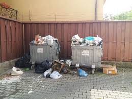 FOTO: Tomberoane din care se revarsă gunoaiele într-o zonă din Iași