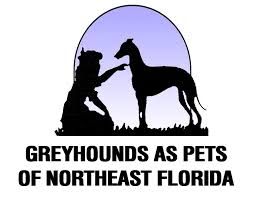 First select a species then enter your zip and search. Greyhounds As Pets Jacksonville Fl Home