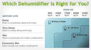 5 Things To Consider When Buying A Dehumidifier