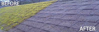 Just scrub it off first with a brush, then bleach as above. Roof Cleaning Demossing Langley Abbotsford Surrey Langley Gutter Pros
