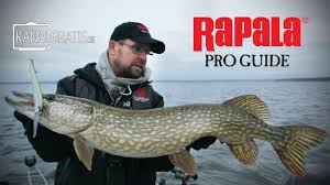 It may look fine, but it remains a muzzle which prevents. Webbtv Hosttrolling Efter Gadda Rapala Proguide Sverige