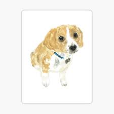 Grey kitchen ideas ukc beagles classifieds. Harrier Dog Gifts Merchandise Redbubble