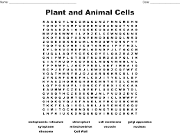 It is made up of 3 parts; Plant And Animal Cells Word Search Wordmint