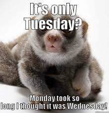 Happy funny tuesday quotes with images pictures tuesday. Best Tuesday Memes 20 Funny Images You Must Share