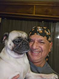 Meet Sassy, a 30lb pug