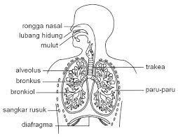Assalamualaikum dan salah sejahtera semua. Himpunan Nota Bahasa Melayu Tingkatan 3 Yang Hebat Untuk Murid Lihat Cikgu Ayu