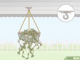 Hang Plants Without Drilling