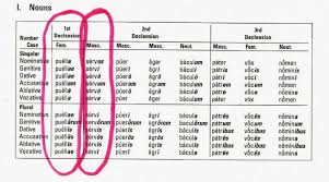 Latin I Latin Noun Charts For Quiz