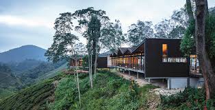 Surau ladang teh sungai palas. Zlg Design Conceptualises An Extension To The Well Loved Boh Tea Centre