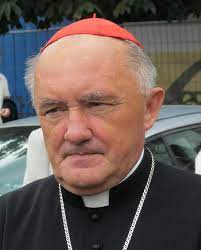 Kardynał nycz członkiem watykańskiego ministerstwa kultury. Kazimierz Nycz Wikipedia