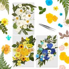 You can either press your own flowers, or buy a set of assorted dried and pressed flowers ($4, etsy). Buy 120 Pcs Dried Pressed Flowers For Resin Art Natural Dried Flowers Colorful Chrysanthemum Daisy With Tweezers For Scrapbooking Diy Candle Decoration Resin Jewelry Crafts Making Blue White Yellow Online In Poland B08yz15qdh