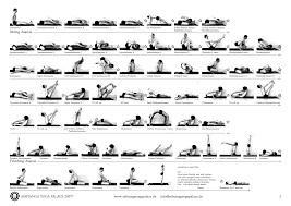 Image result for Primary Series