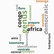 Image result for Chlorophytum burundiense