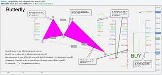 Educational Chart Butterfly Advanced Pattern Forex