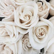 We would like to show you a description here but the site won't allow us. Downtown La The Flower Mart Flower Mart Flower Phone Wallpaper Flowers