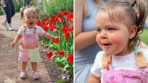 9-year-old James Edds dies following crash at Killarney Vale